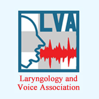 LAVA